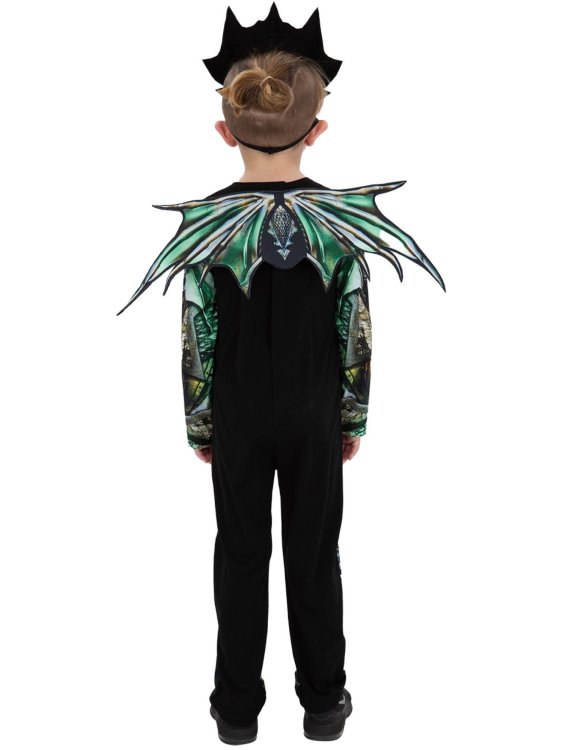 Αποκριάτικη Στολή Dragon
