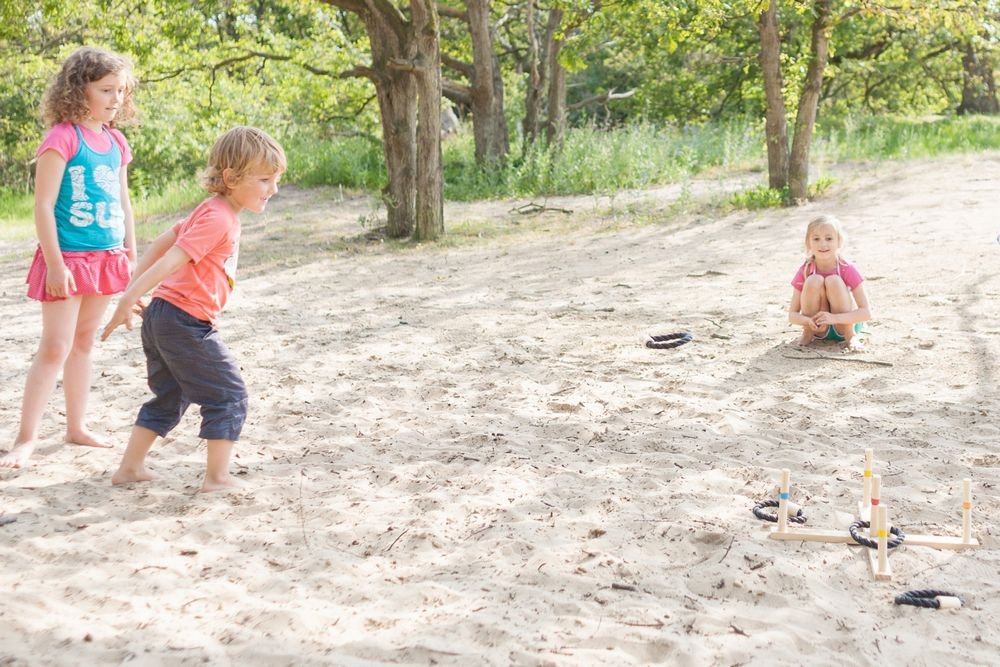 Bs Toys – Ring Toss