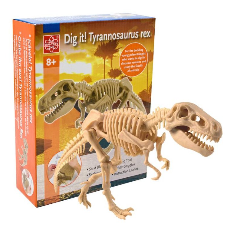 Edu Science - Ανασκαφή Τυραννόσαυρου Rex