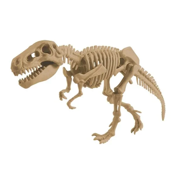 Edu Science - Ανασκαφή Τυραννόσαυρου Rex