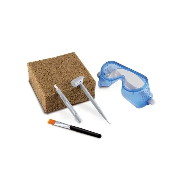 Edu Science - Ανασκαφή Τυραννόσαυρου Rex