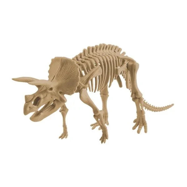 Edu Science - Ανασκαφή Triceratops