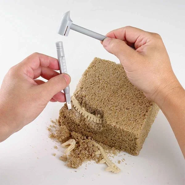 Edu Science - Ανασκαφή Triceratops