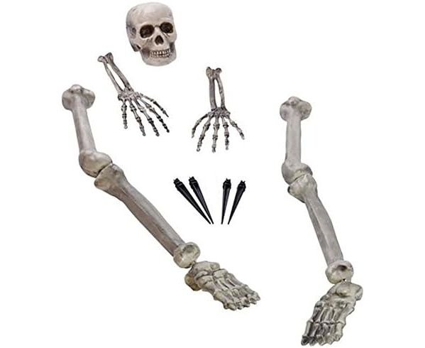 Διακόσμηση Πλαστική Σκελετός 10 τεμ 18 - 32 εκ