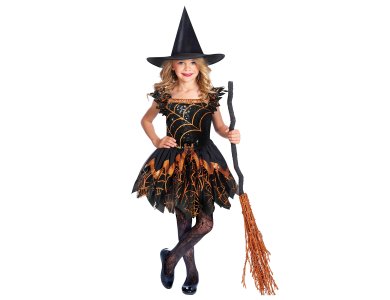 Αποκριάτικη Στολή Spooky Spider Witch
